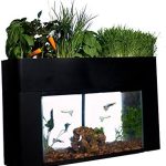 AquaSprouts Garden: Self-Sustaining Desktop Aquaponics Kit for 10 Gallon Aquariums.
