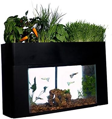 AquaSprouts Garden: Self-Sustaining Desktop Aquaponics Kit for 10 Gallon Aquariums.