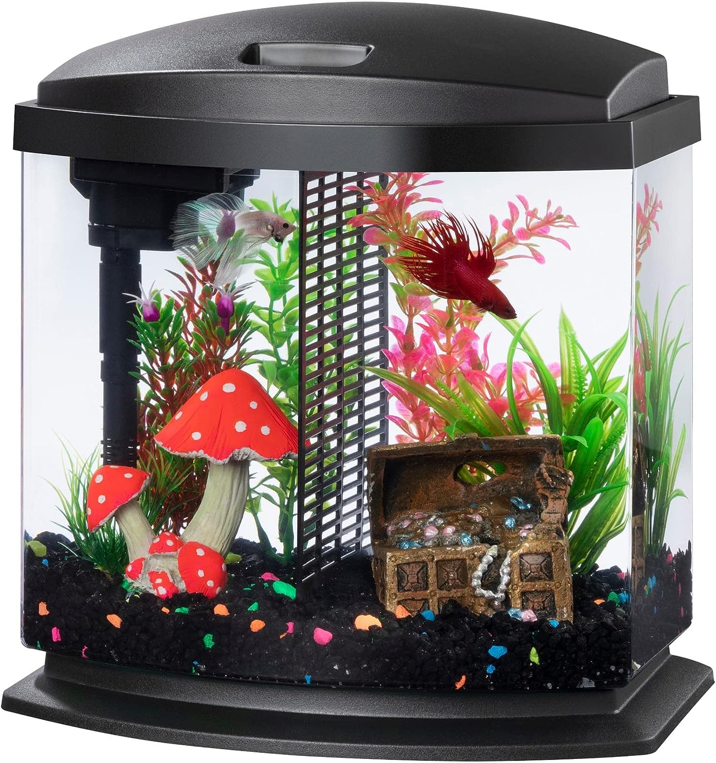 Aqueon BettaBow Led Blk 2.5G: Aquarium Kit 00800198