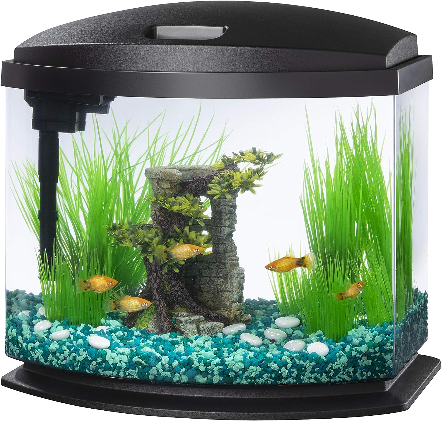 Aqueon LED MiniBow 5 Gallon Fish Tank Kit with SmartClean Technology, Black.