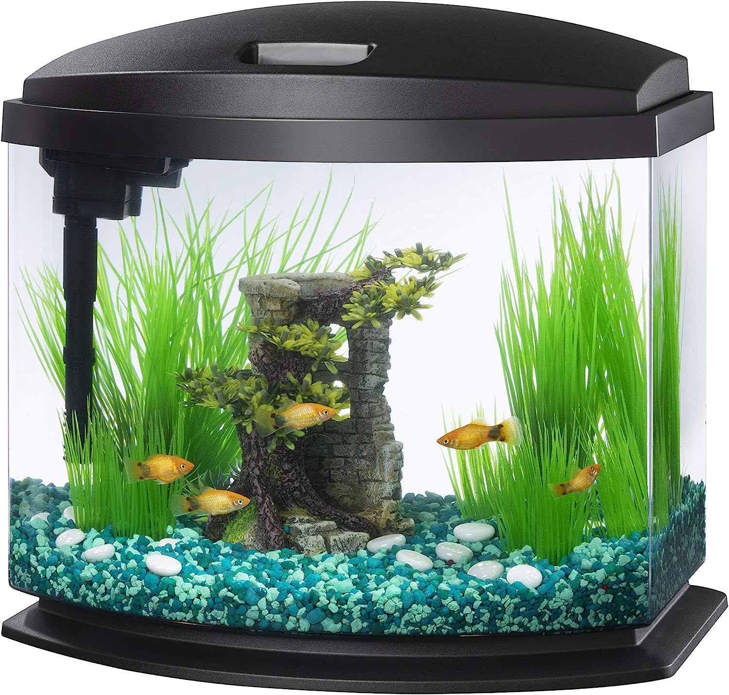 Aqueon LED MiniBow Black Fish Tank Kit, 2.5 Gallon with SmartClean Technology