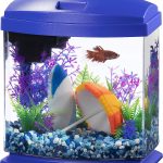Aqueon LED MiniBow Small Aquarium Fish Tank Kit, Blue, 1 Gallon with SmartClean Technology.