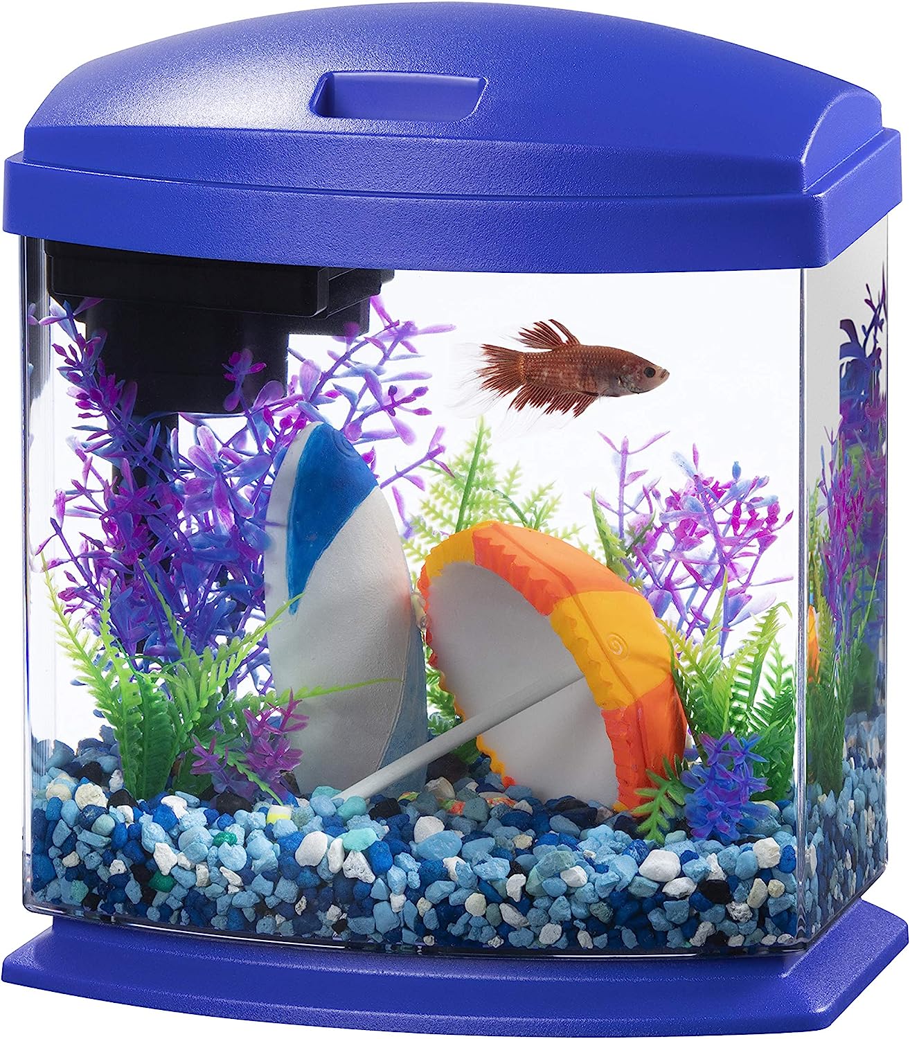 Aqueon LED MiniBow Small Aquarium Fish Tank Kit, Blue, 1 Gallon with SmartClean Technology.