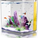 Betta Aquarium Starter Kits – 1.2Gallon Square Fish Tank with LED Light and Filter Pump.
