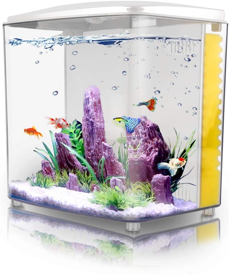 Betta Aquarium Starter Kits – 1.2Gallon Square Fish Tank with LED Light and Filter Pump.