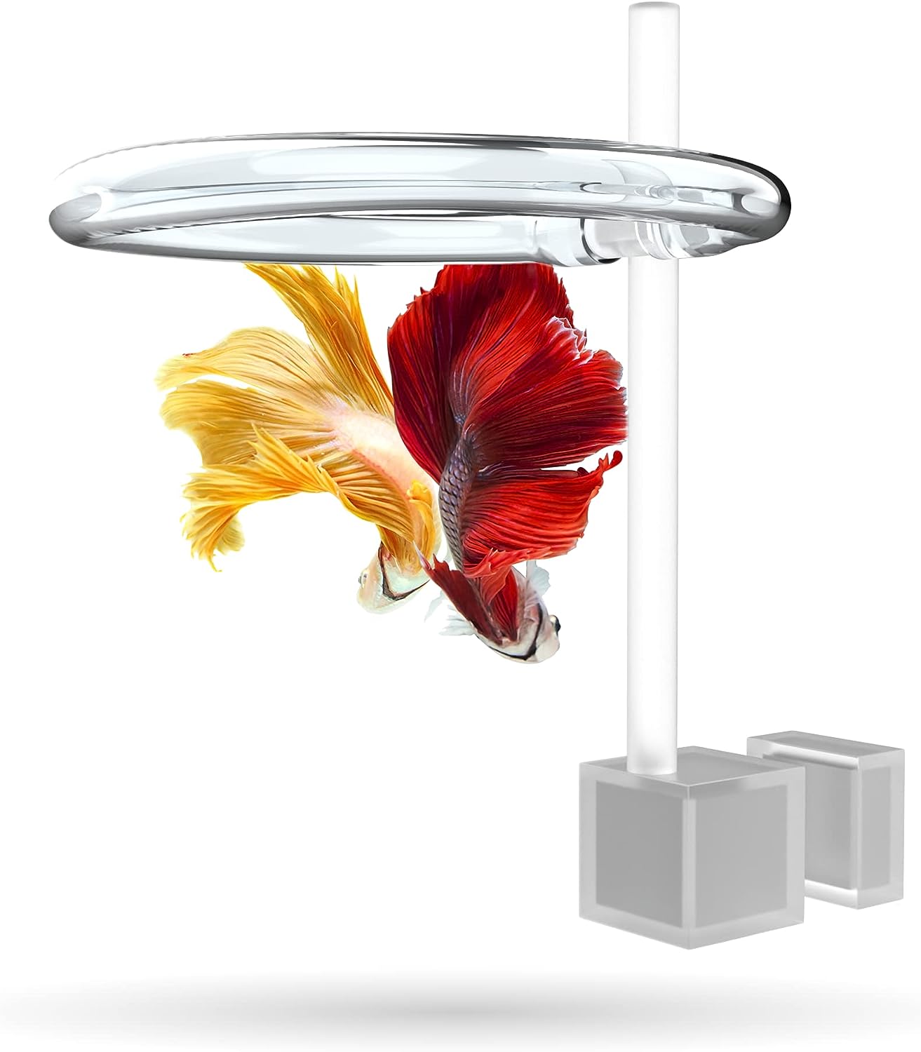 MagiRing – Magnetic Invisible Feeding Ring for Floating Aquariums