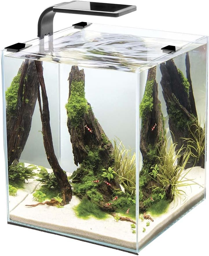 Cobalt Aquatics Microvue 20 Nano Aquarium Kit: Filter, LED Light