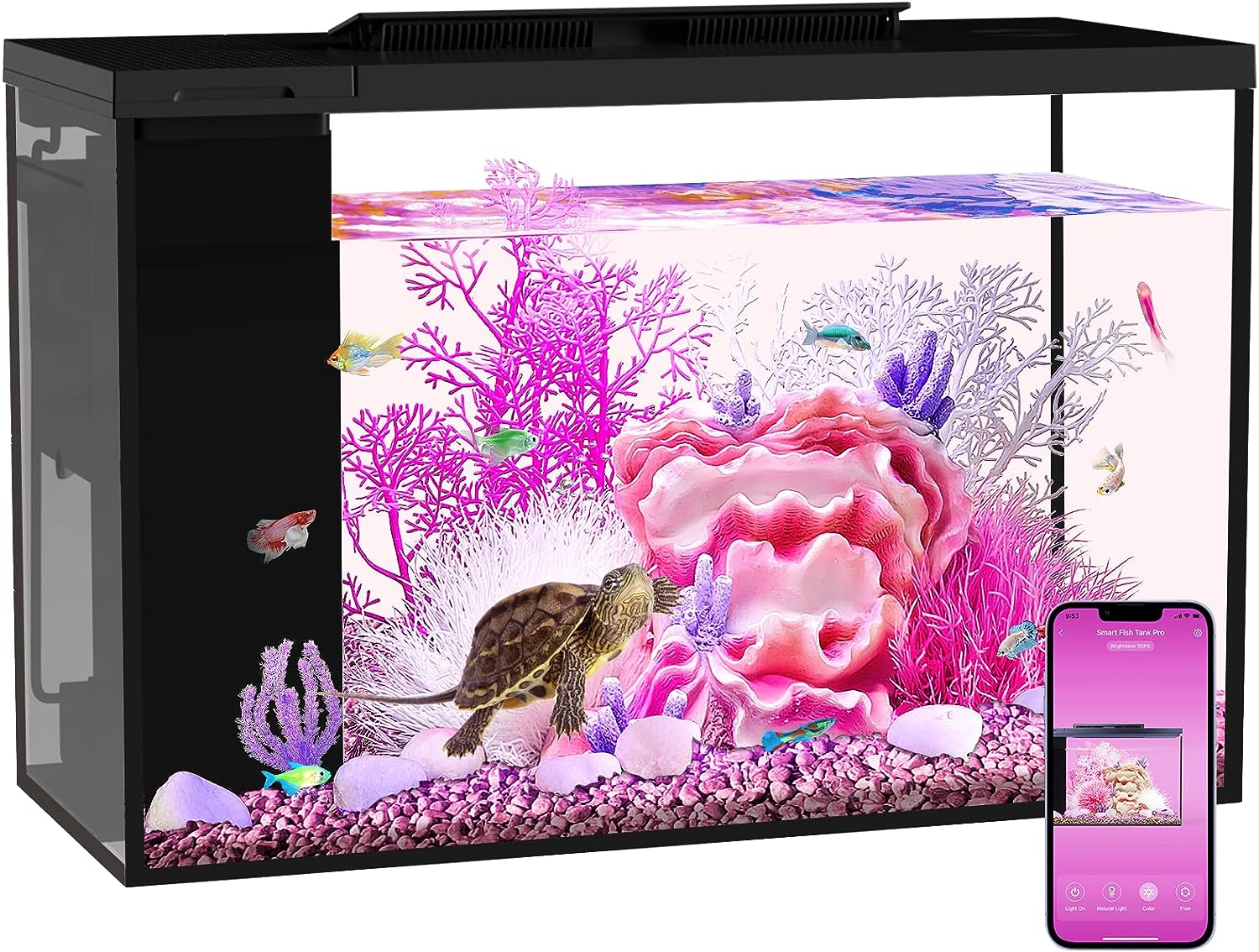 ERAARK Aquarium Kit: Bluetooth-Enabled Betta Fish Tank with Filter, Light, and Pump