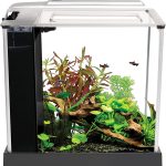 Fluval SPEC 5-Gallon Aquarium Kit with LED Lighting and Filtration System