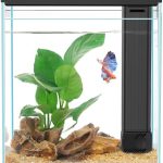 Glass Aquarium Starter Kit: Betta Fish Tank, 2.3 Gallon with Filter and Light