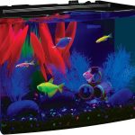 GloFish Aquarium Kits: Decorations, LED Lighting, Tetra Filter, Water Conditioner