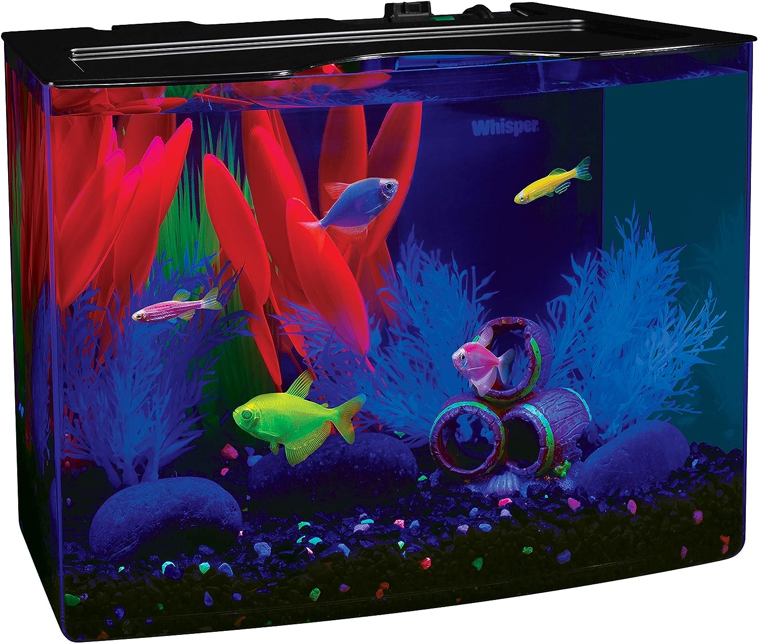 GloFish Aquarium Kits: Decorations, LED Lighting, Tetra Filter, Water Conditioner