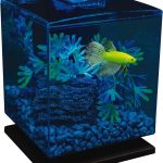 GloFish Betta Aquarium Kit 1.5 Gallons: Easy Setup, Perfect Starter Tank