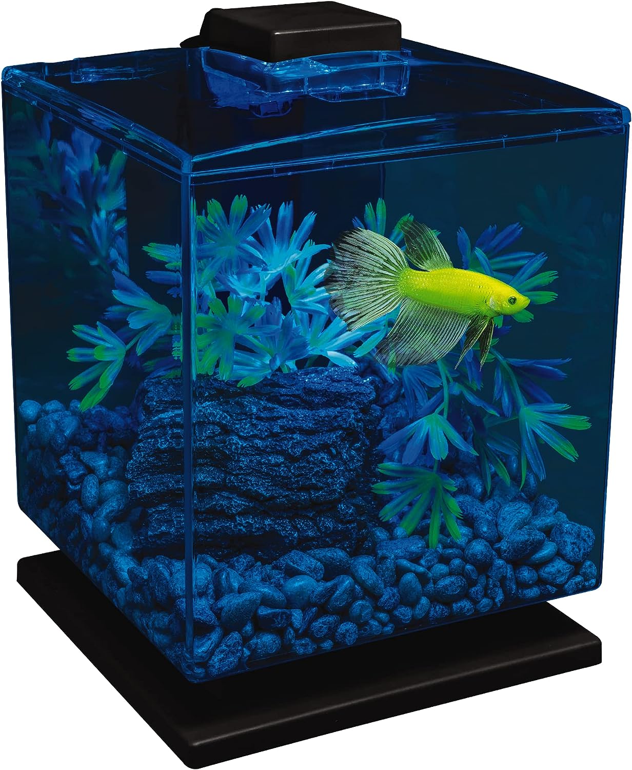 GloFish Betta Aquarium Kit 1.5 Gallons: Easy Setup, Perfect Starter Tank