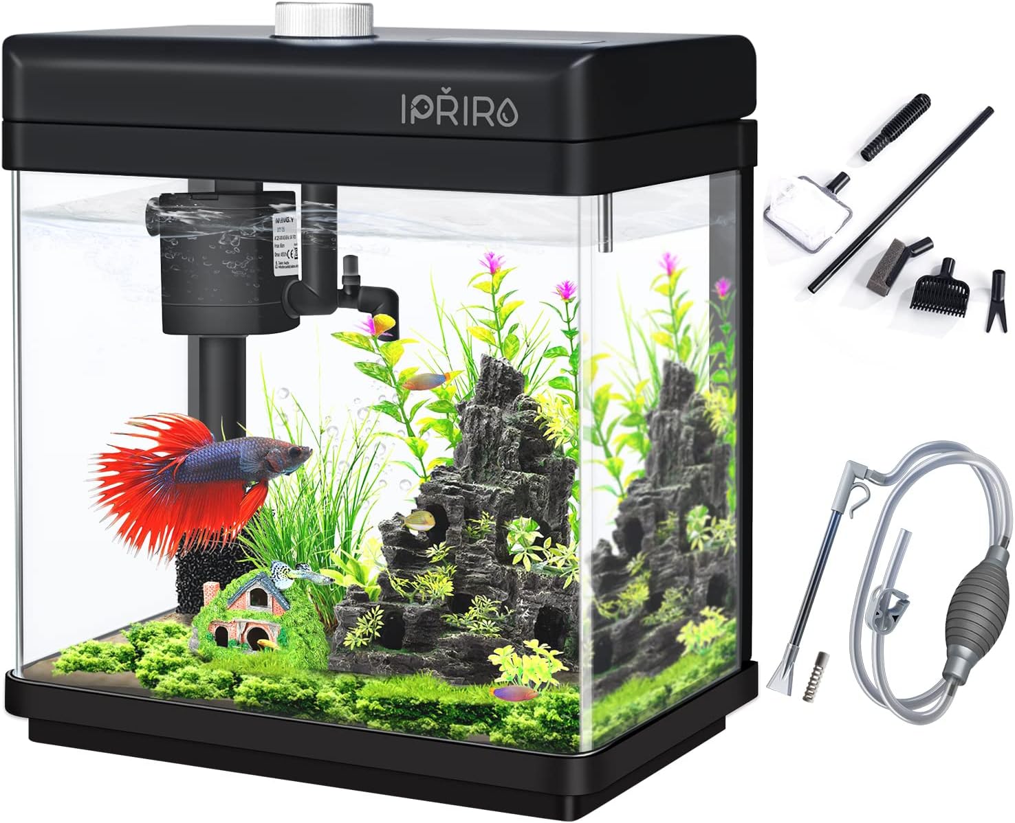 iPriro Glass Betta Aquarium Starter Kit: LED Light, Temp Display, 1.5 Gallon