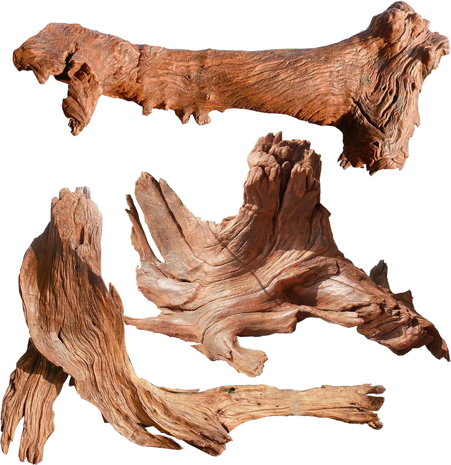 Jorewood: Assorted Coral Driftwood for Aquarium Decor, 3 Pcs