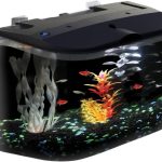 Koller Products 5-Gallon Aquarium Kit: Ideal for Tropical Fish with LED Lighting