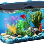 Koller Products 5-Gallon Aquarium Starter Kit: Ideal for Tropical Fish.