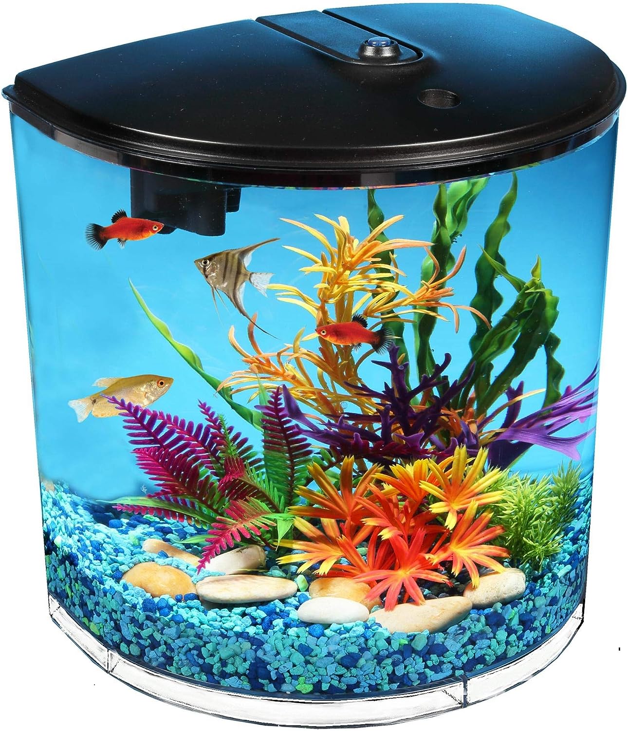 Koller Products AquaView 3.5-Gallon Starter Kit: Ideal for Various Fish – Betta Fish