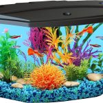 Koller Products Plastic 3-Gallon Aquarium Starter Kit: Ideal for Various Tropical Fish