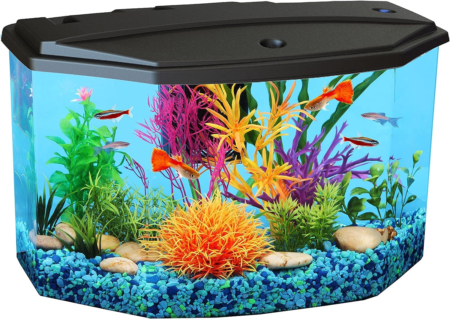 Koller Products Plastic 3-Gallon Aquarium Starter Kit: Ideal for Various Tropical Fish