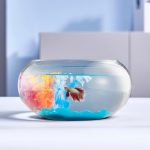LAQUAL 2 Gallon Glass Fish Bowl: Decorative, Clear View, Ideal for Betta Fish/Goldfish