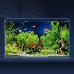 LAQUAL 6.5 Gallon Ultra Clear Glass Fish Tank Set with Accessories