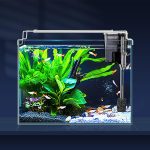 LAQUAL Rimless Glass Aquarium Starter Kit (3 Gal): Ultra Clear Low Iron Glass Fish Tank Set