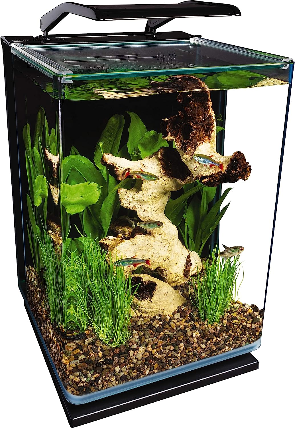 Marineland 5 Gallon Portrait Glass LED Aquarium Kit, Black