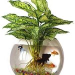 Outgeek 9in Wall Fish Bubble Hanging Bowl: Clear Acrylic Vase & Aquarium