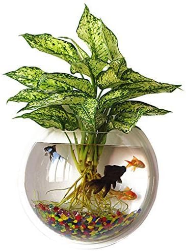 Outgeek 9in Wall Fish Bubble Hanging Bowl: Clear Acrylic Vase & Aquarium