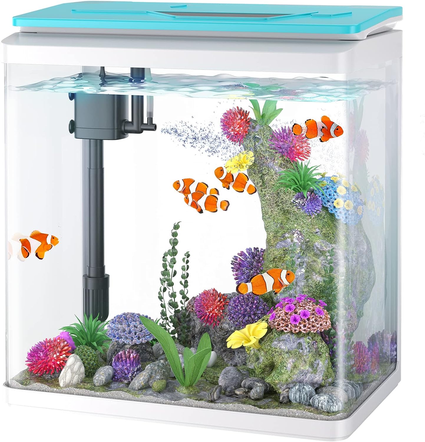 PONDON 7.9 Gallon Fish Tank: Glass Aquarium Starter Kit with LED Lights