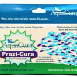PraziCura 10g – Pure praziquantel for effective treatment.
