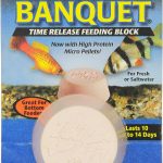 Zoo Med Giant Banquet Block Feeder, 1 Count (Pack of 1)