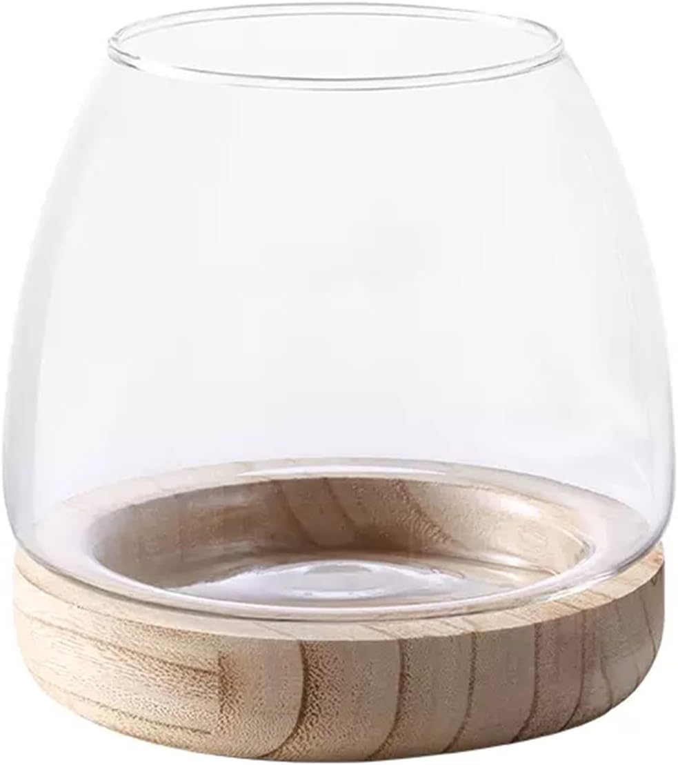 Fofetbfo Glass Hydroponic Terrarium: Unique Fish Bowl Aquarium with Wood Base