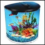 Koller Products AquaView 3.5-Gallon Aquarium Starter Kit: Ideal for a Variety of Fish