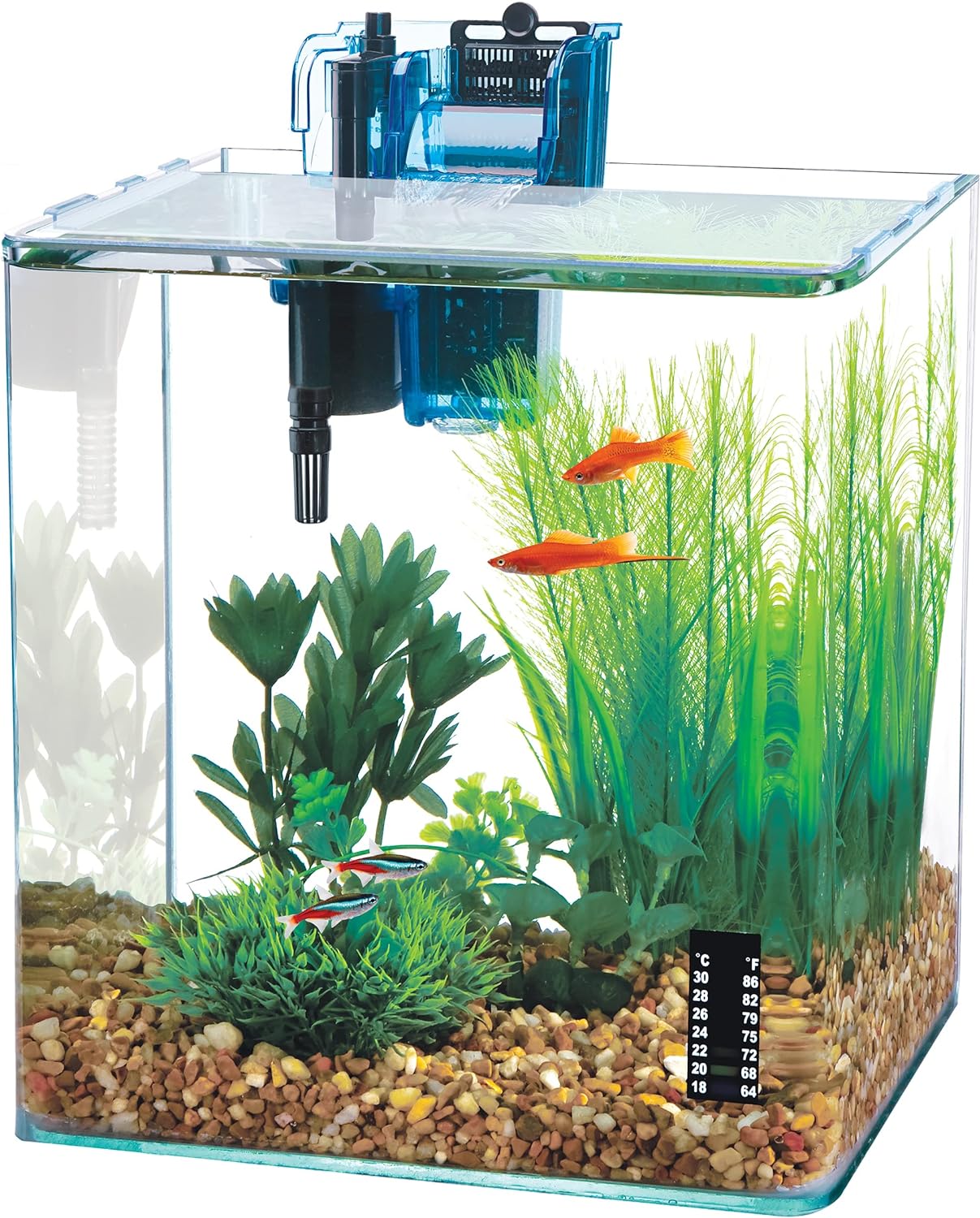 PENN-PLAX Nano Aquarium Kit: Ideal for Shrimp and Small Fish