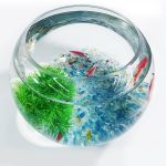Glass Betta Fish Bowl – Decorative Mini High Clear Fish Tank Kit