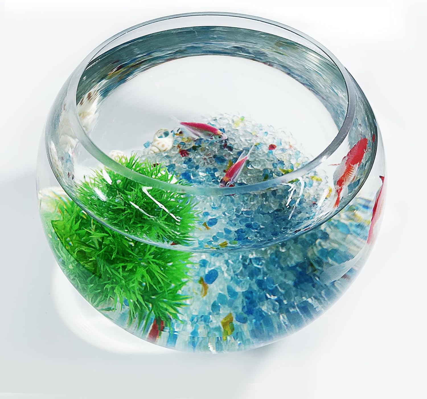 Glass Betta Fish Bowl – Decorative Mini High Clear Fish Tank Kit