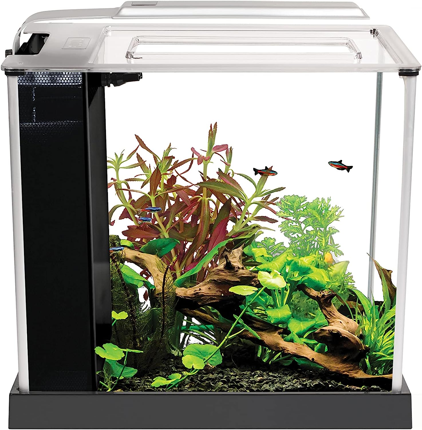 Fluval SPEC Aquarium Kit: LED Lighting, 3-Stage Filtration, 2.6 Gallon