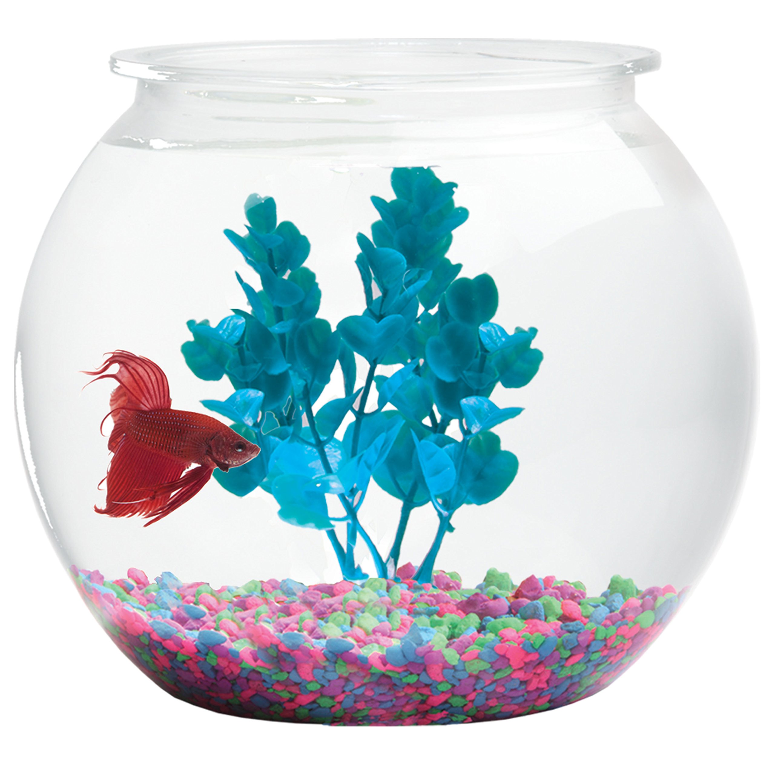 Aquatic Wonder: Break-Resistant, Lightweight Fish Bowl for Betta Fish and Home Décor