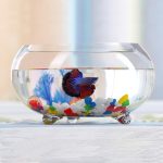 KUNVAMUL 2 Gallon Glass Fish Tank: Sturdy Betta Bowl with High Transparency
