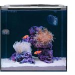 HelloReef 15 Gallon Clownfish Saltwater Aquarium Kit: App Controlled LED Lighting, Setup Guide