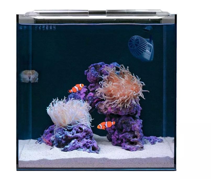 HelloReef 15 Gallon Clownfish Saltwater Aquarium Kit: App Controlled LED Lighting, Setup Guide