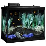 Tetra Aquarium 20 Gallon Fish Tank Kit: LED Lighting and Decor Included.