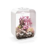 biOrb Life 15: Modern Compact Aquarium with Remote-Controlled LED Lights
