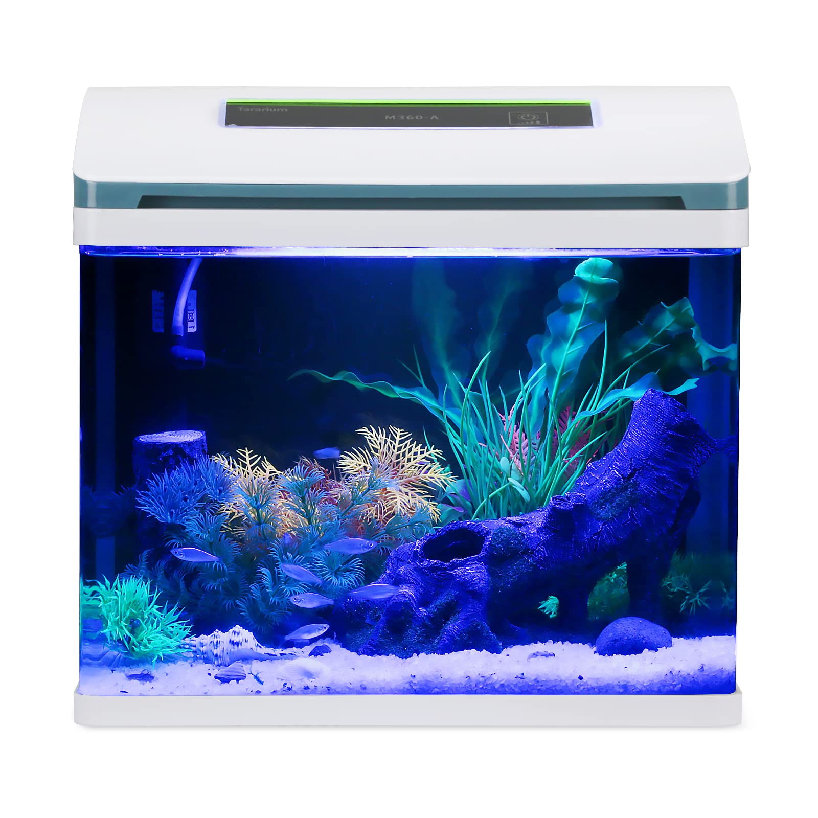Brand Name: Glass Aquarium Starter Kits - Self Cleaning 2 Gallon Tank