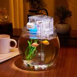 SANOSY 1 Gallon Aquarium: Small Fish Tank with Filter and Light