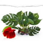 SunGrow 10″ Plastic Leaf Plant with Ceramic Base (1 Count)