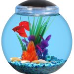 Koller Products: 2-Gallon Bowl with LED Lighting (7 Color Selections)